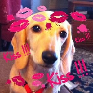 Meet your Posher, Shawn